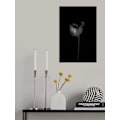 Miniatyrbild 2 av 2: Anthurium MultiColor 50x70 cm