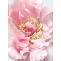 Pikkukuva 1 / 2: Blush Peony I MultiColor 21x30 cm