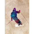 Pikkukuva 2 / 2: Ski Sport Art 1 MultiColor 30x40 cm
