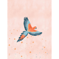 Miniatyrbillede 2 af 2: Fly With Me MultiColor 30x40 cm