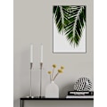 Miniatyrbild 2 av 2: Palm Leaf Ii MultiColor 50x70 cm