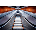 Miniatyrbild 1 av 2: Pushing The Limits MultiColor 70x100 cm