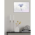 Pikkukuva 2 / 2: Anemone Blanda MultiColor 50x70 cm