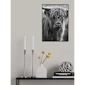 Miniatyrbillede 1 af 2: Highland Cattle MultiColor 21x30 cm