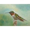 Miniatyrbillede 1 af 2: True Colors MultiColor 70x100 cm