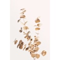 Pikkukuva 1 / 2: Eucalyptus Gold No 04 MultiColor 21x30 cm