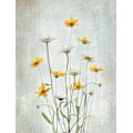 Miniatyrbillede 2 af 2: Sommerblomster MultiColor 70x100 cm