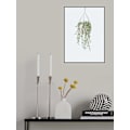 Miniatyrbild 2 av 2: Scandi Japandi String Of Pearls MultiColor 70x100 cm