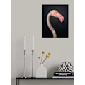 Miniatyrbild 2 av 2: F L A M B O Y A N C E MultiColor 30x40 cm