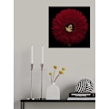 Miniatyrbillede 2 af 2: Center Of Attention With The Hourgass Tree Frog MultiColor 30x40 cm