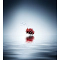 Miniatyrbild 2 av 2: Autumn Trees Reflected Blue Lake MultiColor 70x100 cm