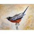 Pikkukuva 1 / 2: Morning Stretch American Robin MultiColor 21x30 cm