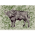 Miniatyrbillede 1 af 2: Cape Buffalo And Oxpecker MultiColor 30x40 cm