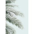 Miniatyrbild 2 av 2: Blue Palms MultiColor 30x40 cm