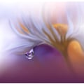 Miniatyrbild 1 av 2: Lost In Time.. MultiColor 70x100 cm