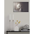 Miniatyrbild 1 av 2: Window Light MultiColor 70x100 cm