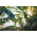 Miniatyrbild 1 av 2: Hide Under Palms MultiColor 50x70 cm