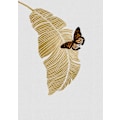 Pikkukuva 1 / 2: Butterfly A Palm Leaf MultiColor 21x30 cm