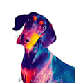 Miniatyrbilde 1 av 2: Finn Dog MultiColor 50x70 cm