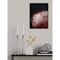 Miniatyrbillede 2 af 2: Moody Blush Peony Ii MultiColor 30x40 cm