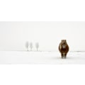 Miniatyrbillede 2 af 2: The Cold Pony MultiColor 30x40 cm