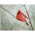 Miniatyrbillede 1 af 2: Winter Cardinal MultiColor 50x70 cm