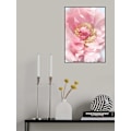 Miniatyrbillede 2 af 2: Blush Peony I MultiColor 50x70 cm