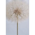 Miniatyrbild 2 av 2: Delicate Dandelion MultiColor 70x100 cm