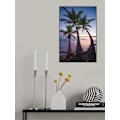 Miniatyrbild 2 av 2: Palmy Twilight MultiColor 30x40 cm