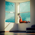 Pikkukuva 2 / 2: Room With A View MultiColor 70x100 cm