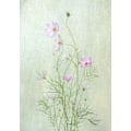 Miniatyrbillede 1 af 2: Cosmos MultiColor 21x30 cm