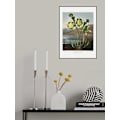 Miniatyrbild 1 av 2: Pitcher Plant From The Temple Of Flora (1807) MultiColor 30x40 cm