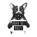 Miniatyrbillede 1 af 2: Rebel Dog MultiColor 30x40 cm