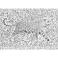 Miniatyrbillede 1 af 2: Leopard Rosette Camouflage MultiColor 50x70 cm