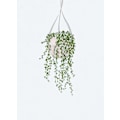 Miniatyrbild 1 av 2: Scandi Japandi String Of Pearls MultiColor 70x100 cm