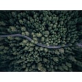 Pikkukuva 2 / 2: From Above MultiColor 70x100 cm