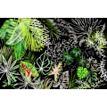 Pikkukuva 1 / 2: Tropical Foliage 04 MultiColor 21x30 cm