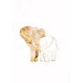 Miniatyrbillede 1 af 2: White Gold Elephants 2 MultiColor 70x100 cm
