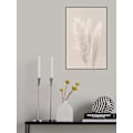 Pikkukuva 1 / 2: Pampas Grass_002 MultiColor 21x30 cm