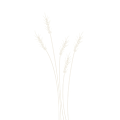 Miniatyrbild 1 av 2: Wheat Grass MultiColor 21x30 cm