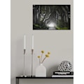 Miniatyrbild 1 av 2: Dark Hedges MultiColor 21x30 cm