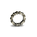 Pikkukuva 2 / 2: Ring bicycle chain #10