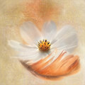 Miniatyrbild 2 av 2: As Light As A Feather MultiColor 21x30 cm