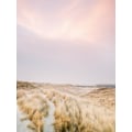 Pikkukuva 2 / 2: Ameland Dunes 1 MultiColor 70x100 cm