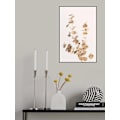 Pikkukuva 2 / 2: Eukalyptus Gold No 04 MultiColor 50x70 cm