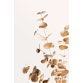 Miniatyrbild 1 av 2: Eucalyptus Gold No 05 MultiColor 50x70 cm