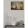 Miniatyrbild 2 av 2: Little Lion Cubs MultiColor 21x30 cm