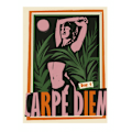 Pikkukuva 2 / 2: Carpe Diem Color MultiColor 21x30 cm