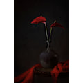 Pikkukuva 1 / 2: Trooppinen Anthurium MultiColor 70x100 cm