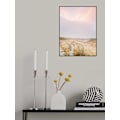 Pikkukuva 1 / 2: Ameland Dunes 1 MultiColor 50x70 cm
